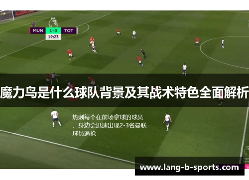 魔力鸟是什么球队背景及其战术特色全面解析 魔力鸟是什么球队背景及其战术特色全面解析