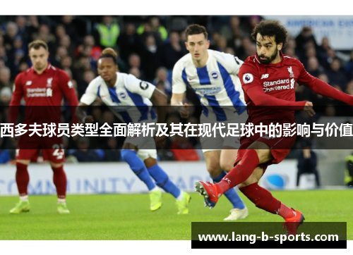西多夫球员类型全面解析及其在现代足球中的影响与价值 西多夫球员类型全面解析及其在现代足球中的影响与价值